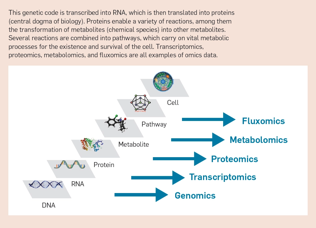 AI 與合成生物學(xué)「聯(lián)姻」的五大挑戰(zhàn)：技術(shù)、數(shù)據(jù)、算法、評(píng)估與社會(huì)學(xué)(圖2)